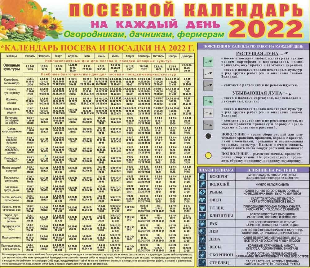 СОВЕТЫ ДАЧНИКАМ СОВЕТЫ ДАЧНИКАМ